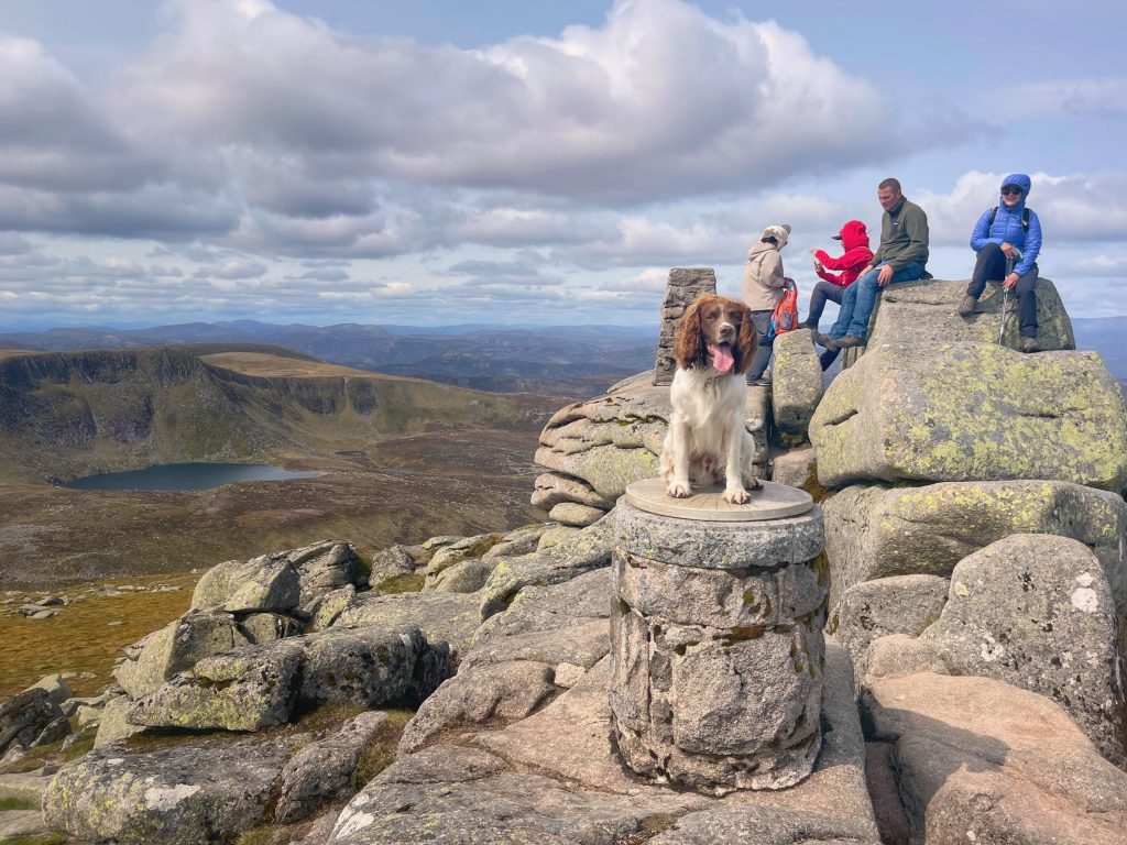 Lochnagar Summit