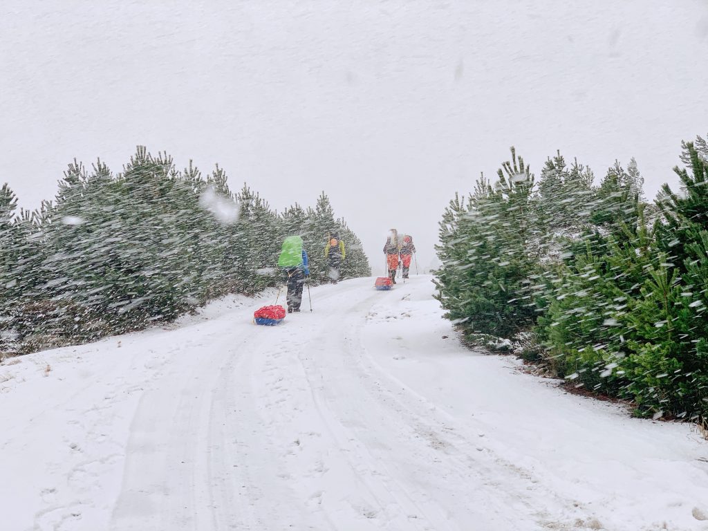 Sled Dragging