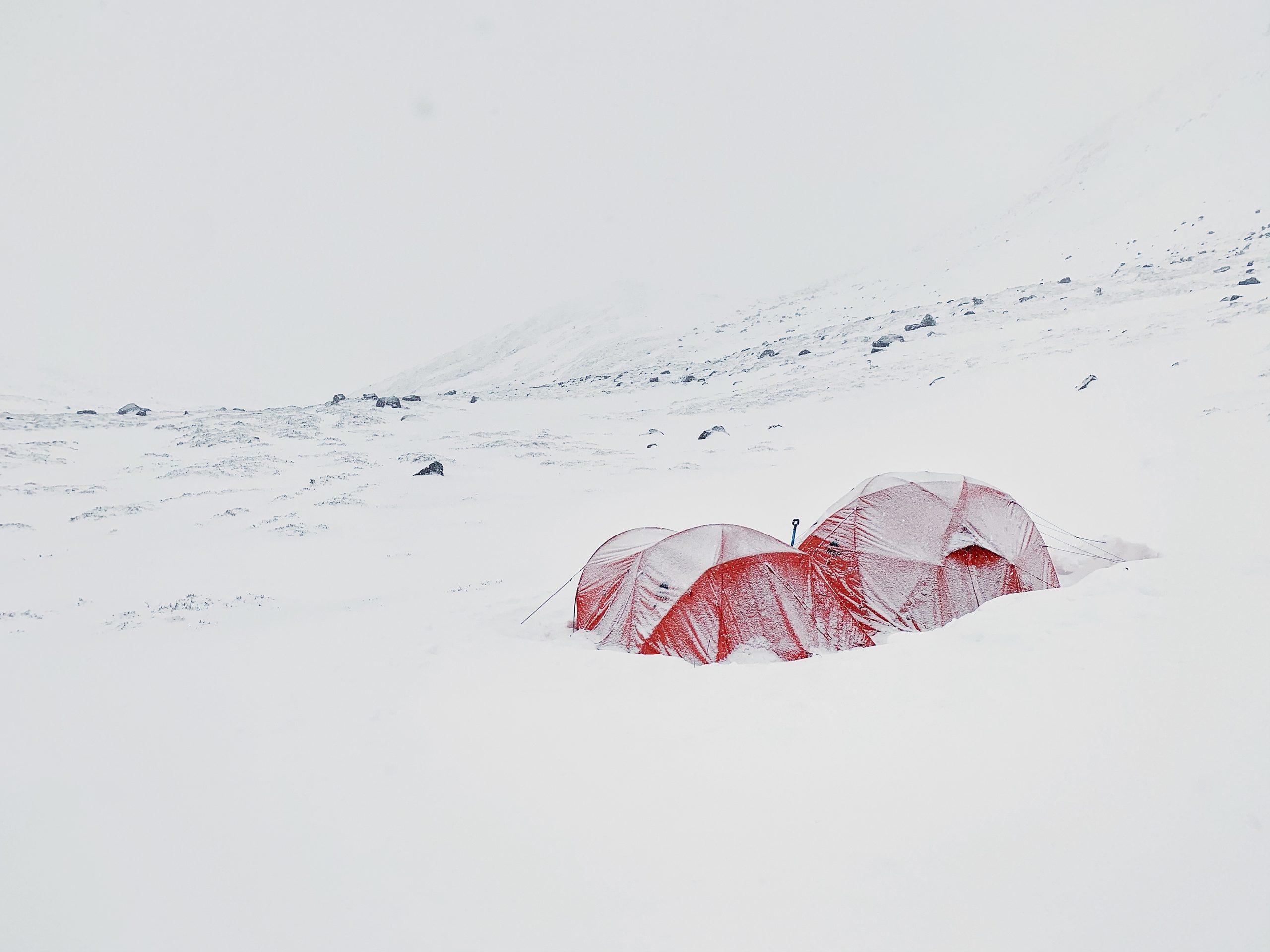 Winter Wild Camp